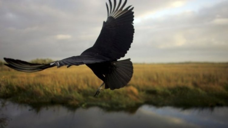 Снимка: Getty Images/Guliver Photos