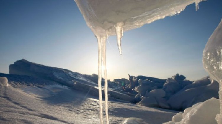 Снимка: Getty Images/Guliver Photos