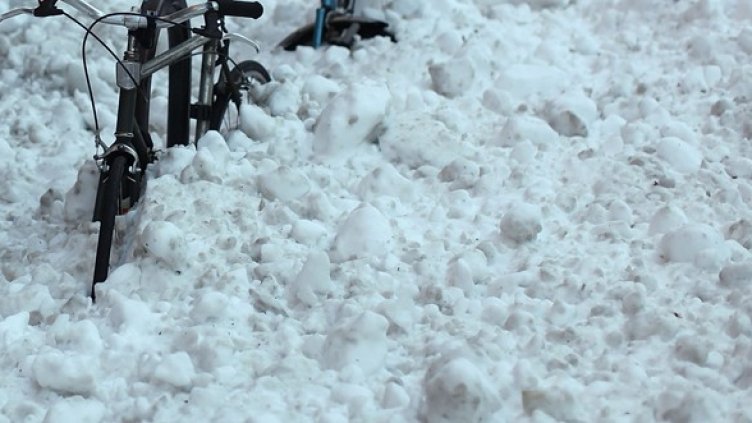 Снимка: Getty Images/Guliver Photos