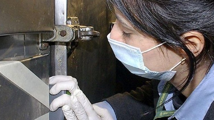 Снимка: Булфото