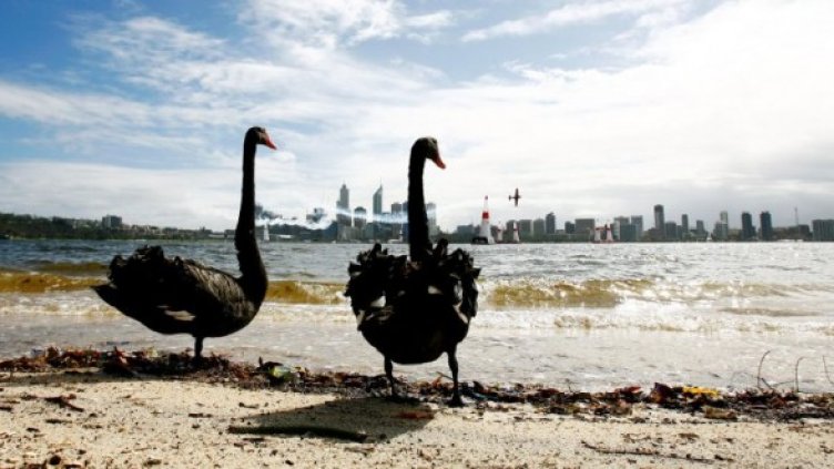 Снимка: Getty Images/Guliver Photos