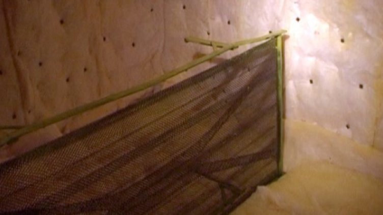 Снимка: МВР