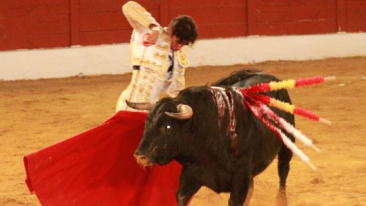 Снимка: Getty Images/Guliver Photos