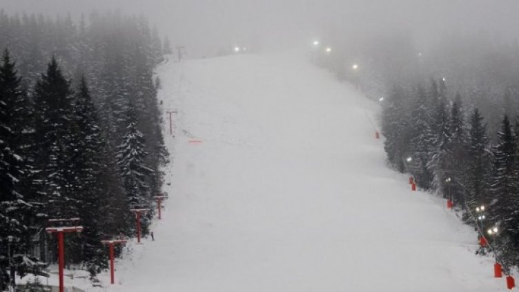 Снимка: Булфото