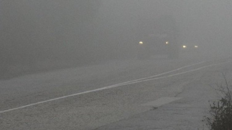 Снимка: Булфото