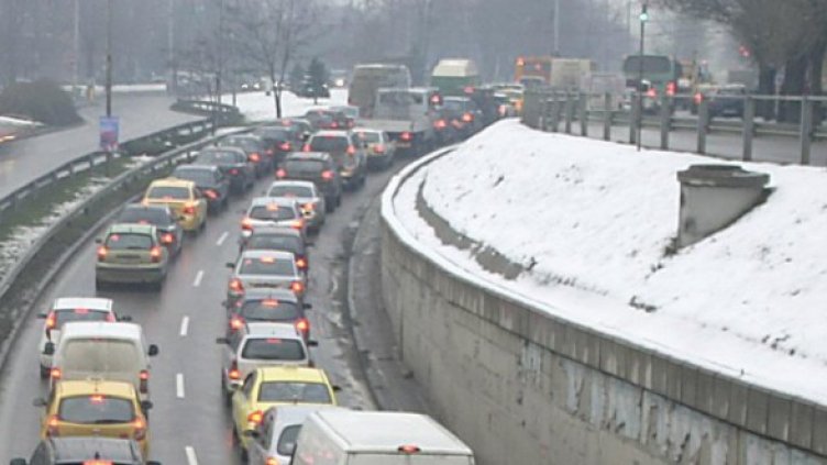 Снимка: Булфото