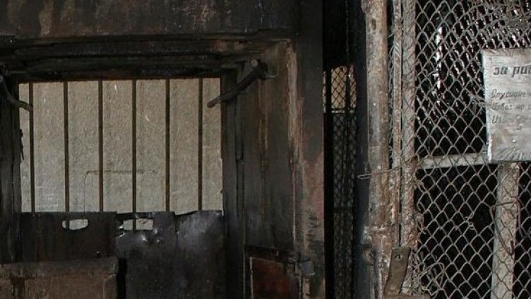 Снимка: Булфото