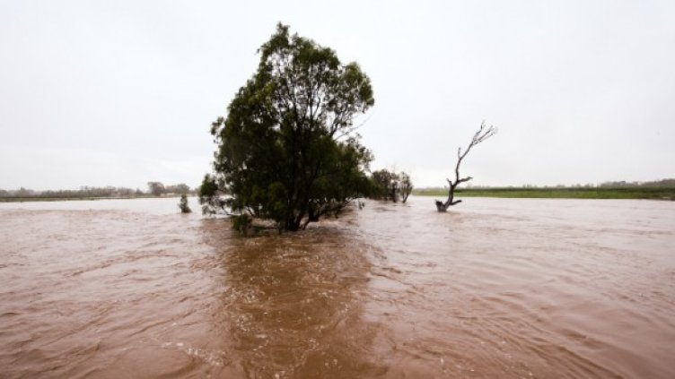 Снимка: Getty Images/Guliver Photos