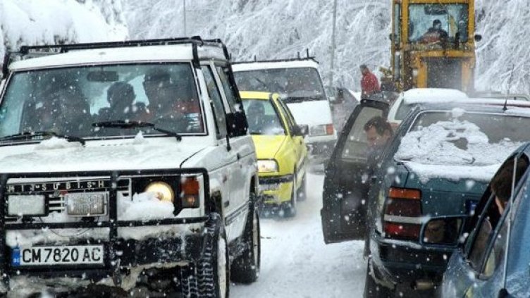 Снимка: Булфото