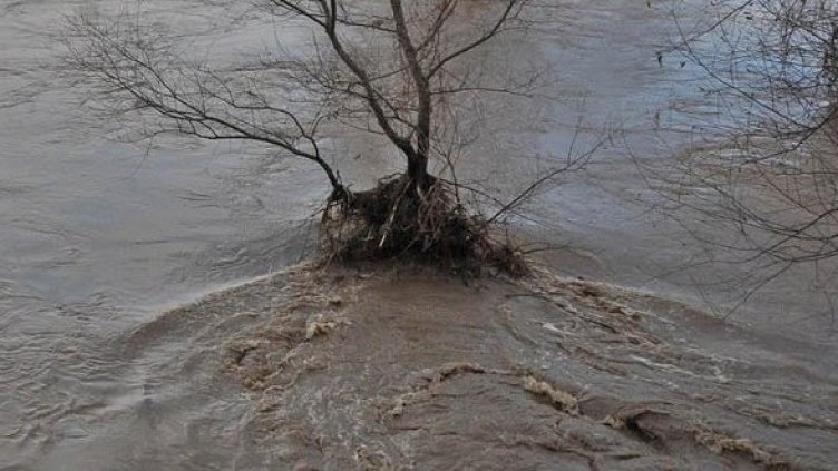 Снимка: Булфото