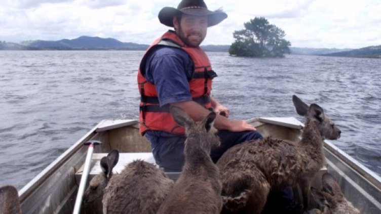 Снимка: Getty Images/Guliver Photos