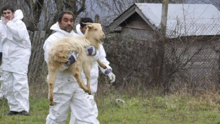 Снимка: Булфото