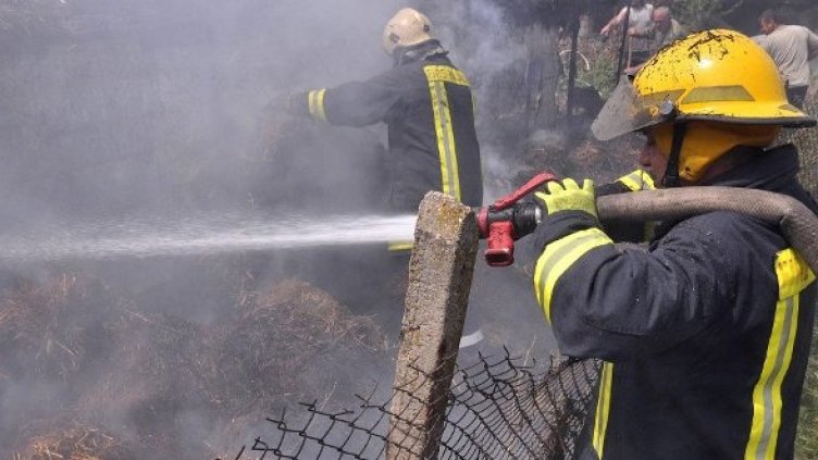 Снимка: Булфото