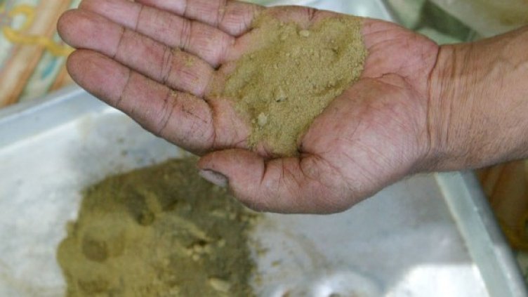 Снимка: Getty Images/Guliver Photos