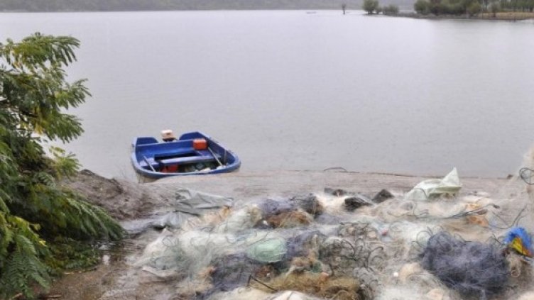 Снимка: Булфото