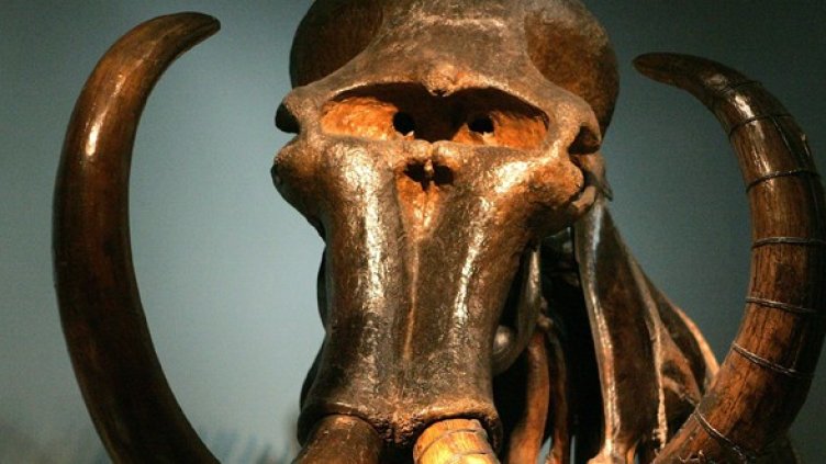 Снимка: Getty Images/Guliver Photos