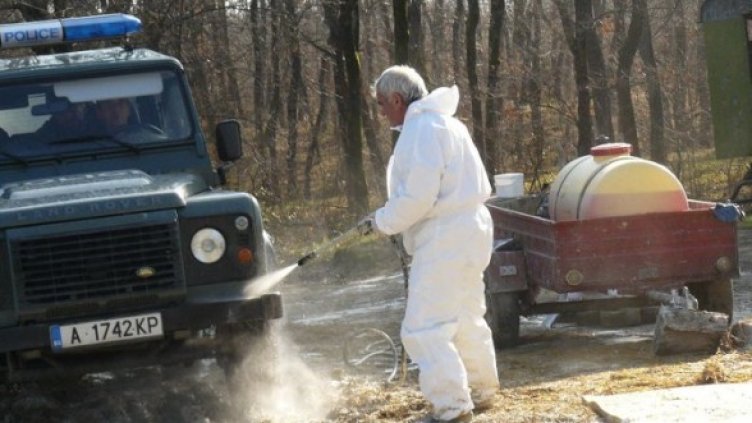 Колите минават през задължителнa дезинфекция преди Резово. Снимка: Булфото