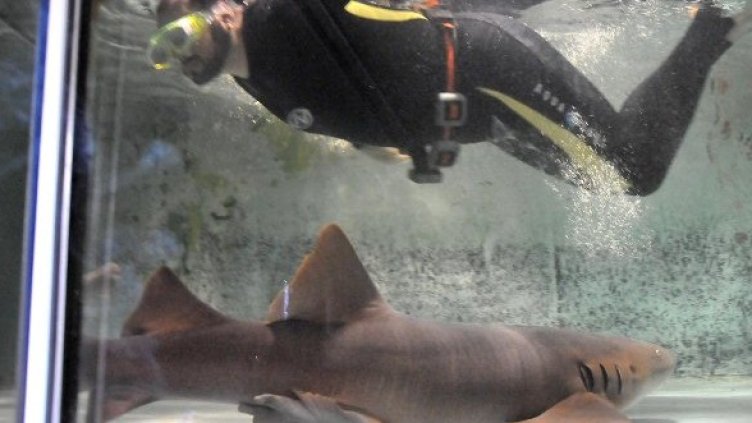 Снимка: Булфото