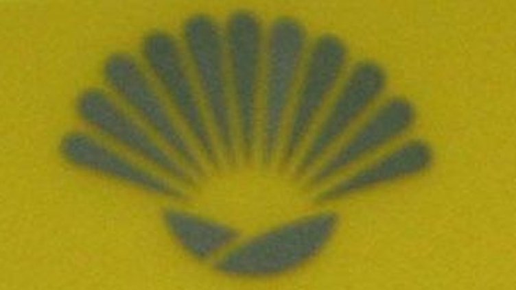 Снимка: Булфото