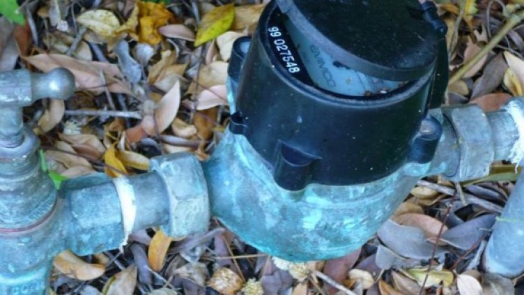 Снимка: flickr