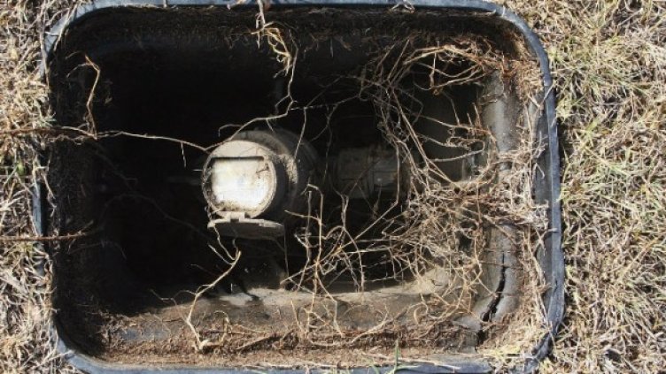 Снимка: Getty Images/Guliver Photos