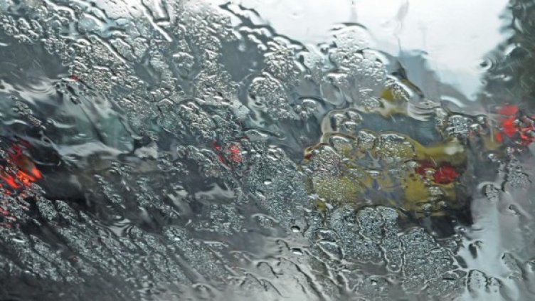 Снимка: Булфото