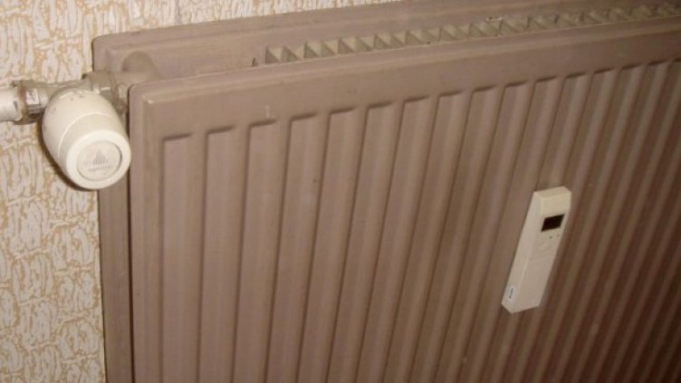 Снимка: Булфото