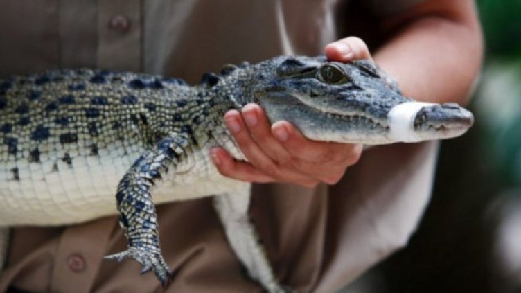 Снимка: Getty Images/Guliver Photos