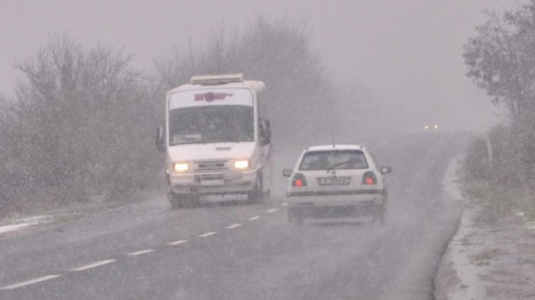 Снимка: Булфото