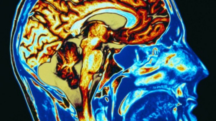 Снимка: Getty Images/Guliver Photos