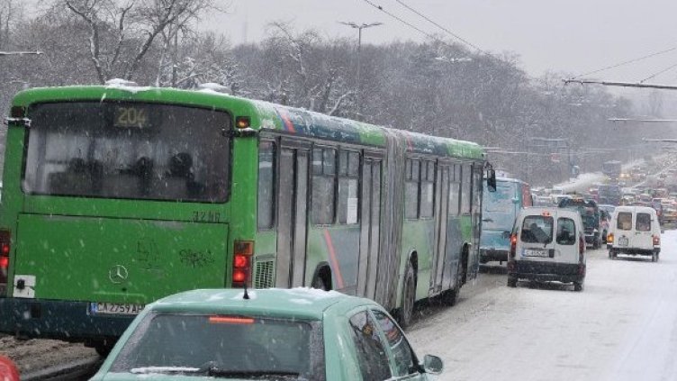 Снимка: Булфото
