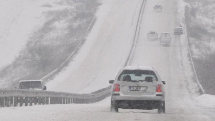 Снимка: Булфото