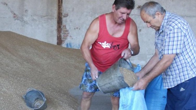 Снимка: Булфото