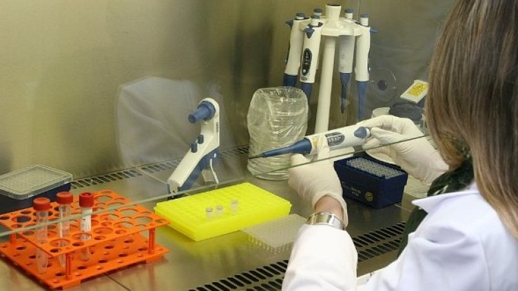 Снимка: Булфото