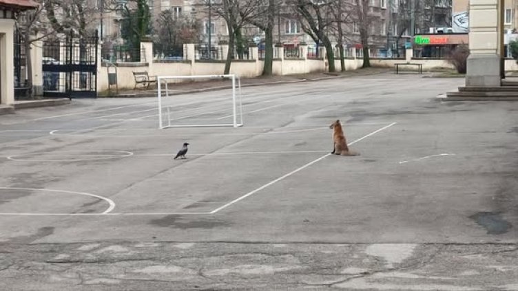 Снимка: БГНЕС