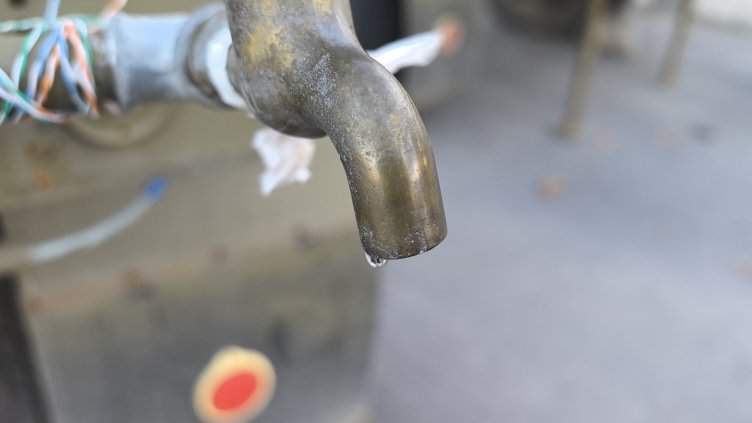 Снимка: архив, БГНЕС