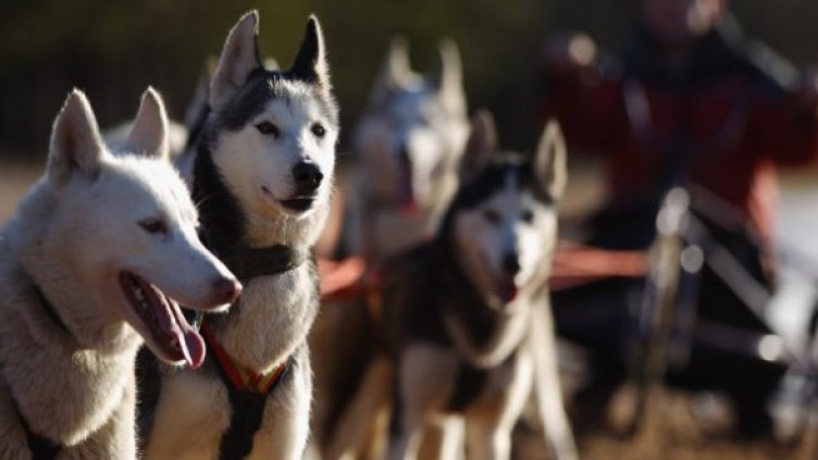Снимка: Getty Images/Guliver Photos