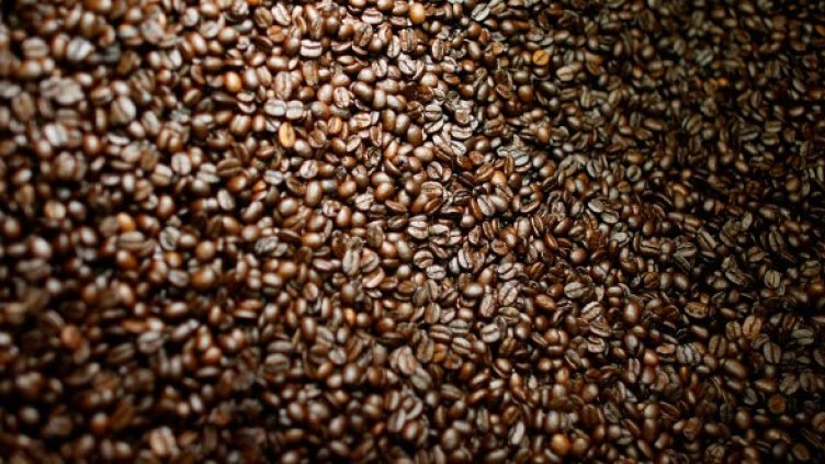 Снимка: Getty Images/Guliver Photos