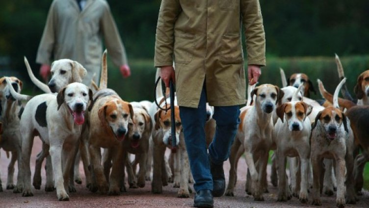 Снимка: Getty Images/Guliver Photos