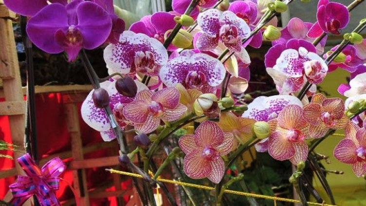 Снимка: Getty Images/Guliver Photos