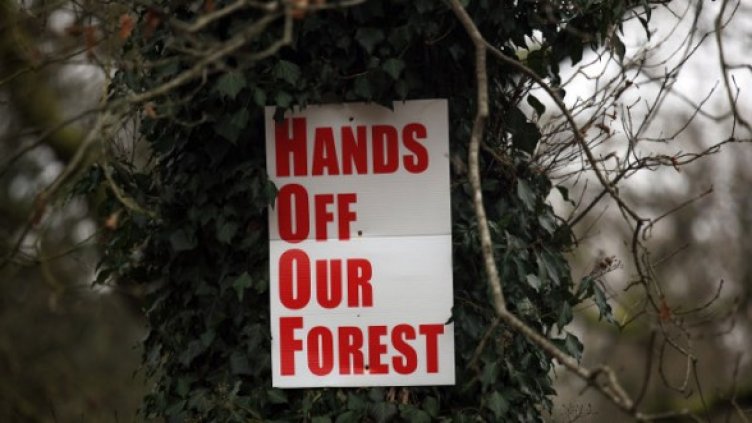 Снимка: Getty Images/Guliver Photos