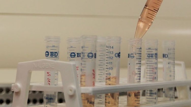 Снимка: Getty Images/Guliver Photos