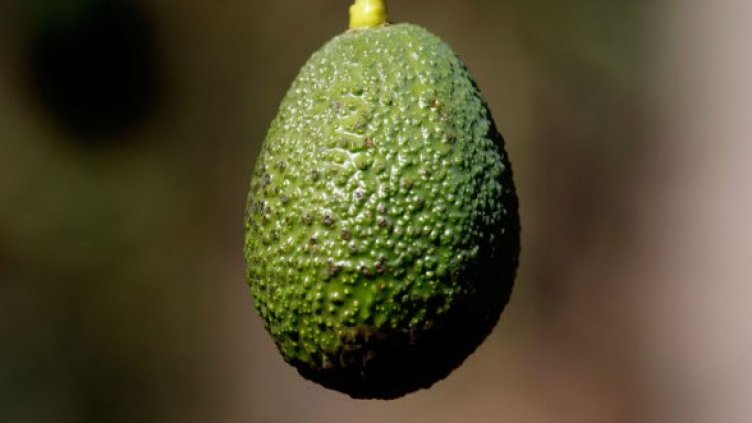 Снимка: Getty Images/Guliver Photos