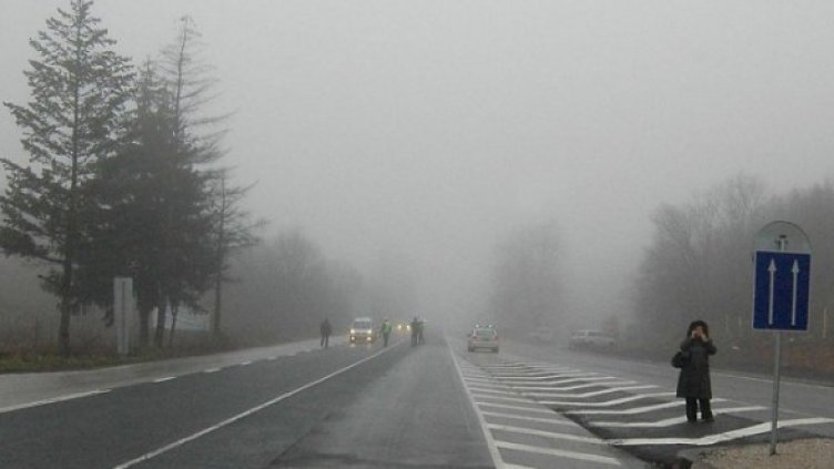 Снимка: Булфото