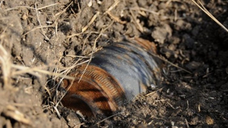 Снимка: Булфото