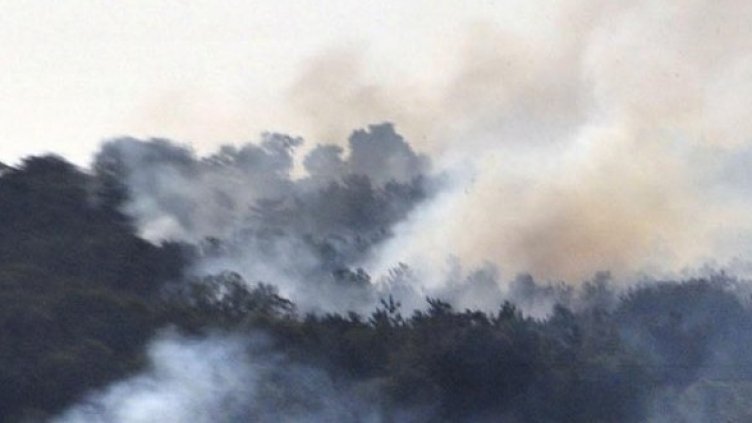 Снимка: Булфото