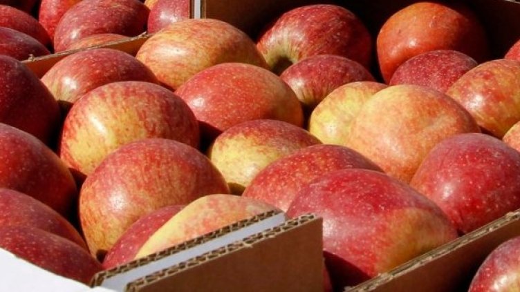 Снимка: Getty Images/Guliver Photos