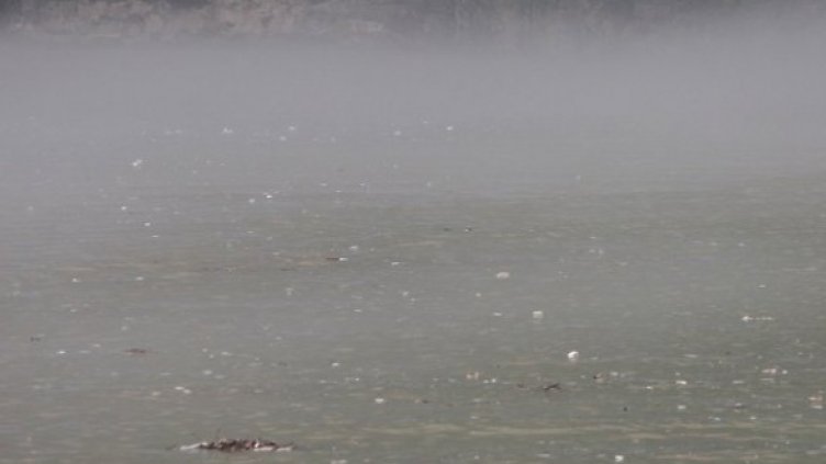 Снимка: Getty Images/Guliver Photos