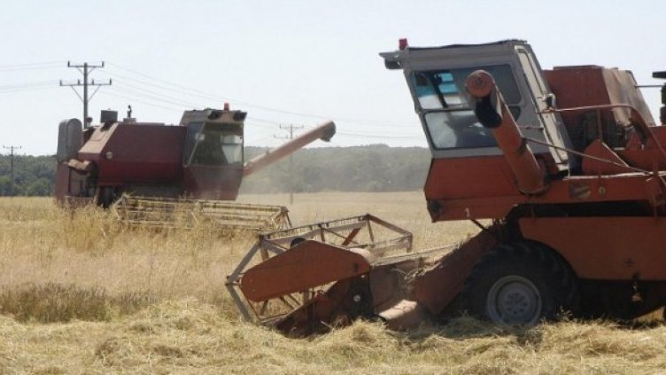 Снимка: Булфото