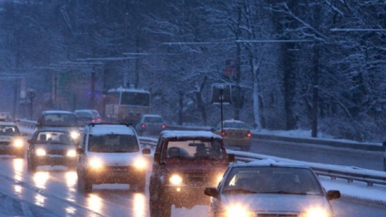 Снимка: Булфото